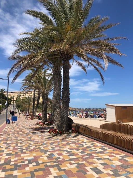 Apartamento Casa Andres. Two Bed Penthouse Pool & Terrace Alicante Exterior foto